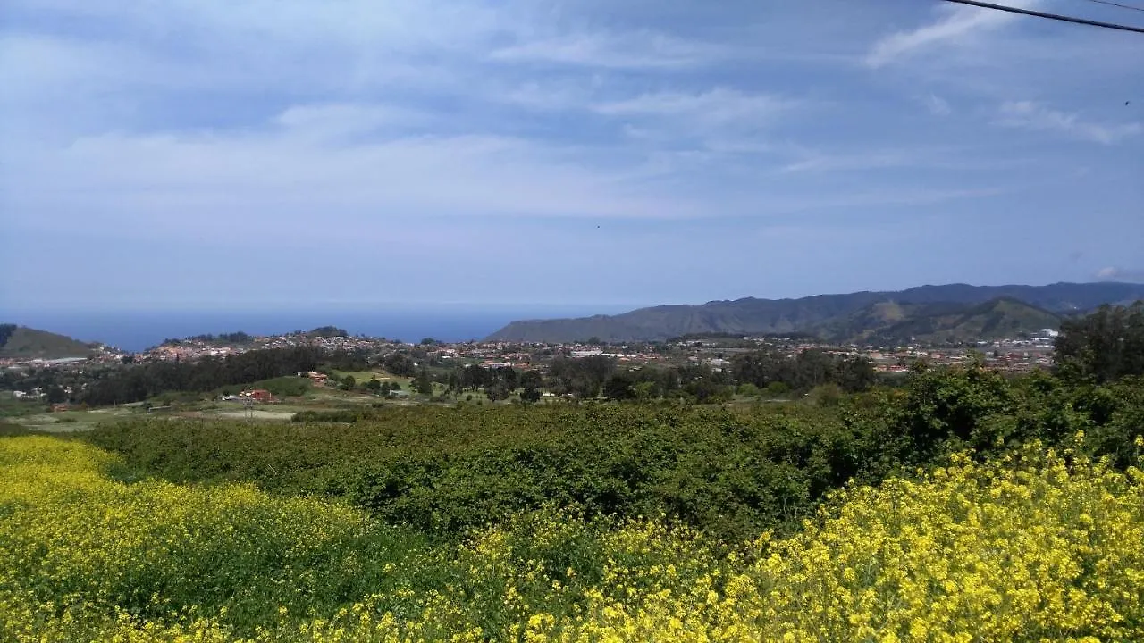 Apartamento Con Terraza Privada Y Barbacoa La Laguna